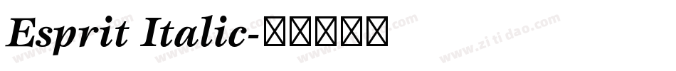 Esprit Italic字体转换